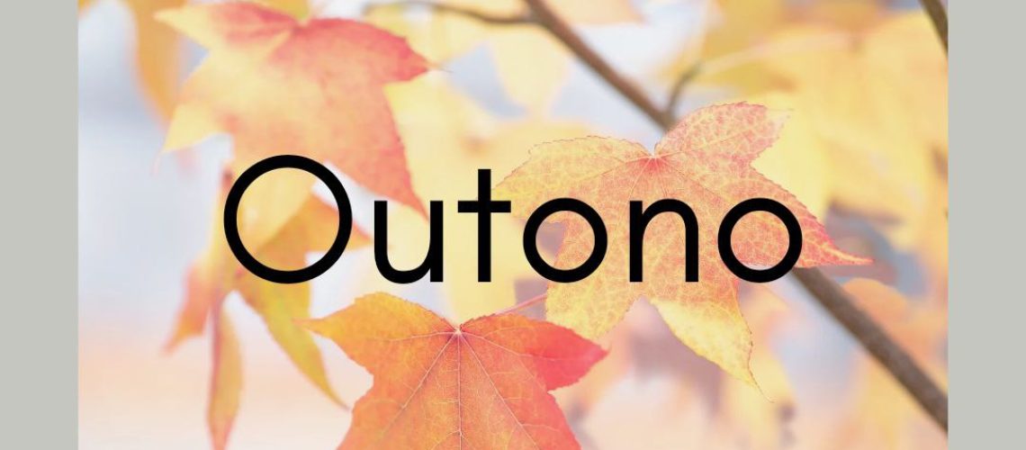 ‭Joana Carolina Handcrafted Outono 10